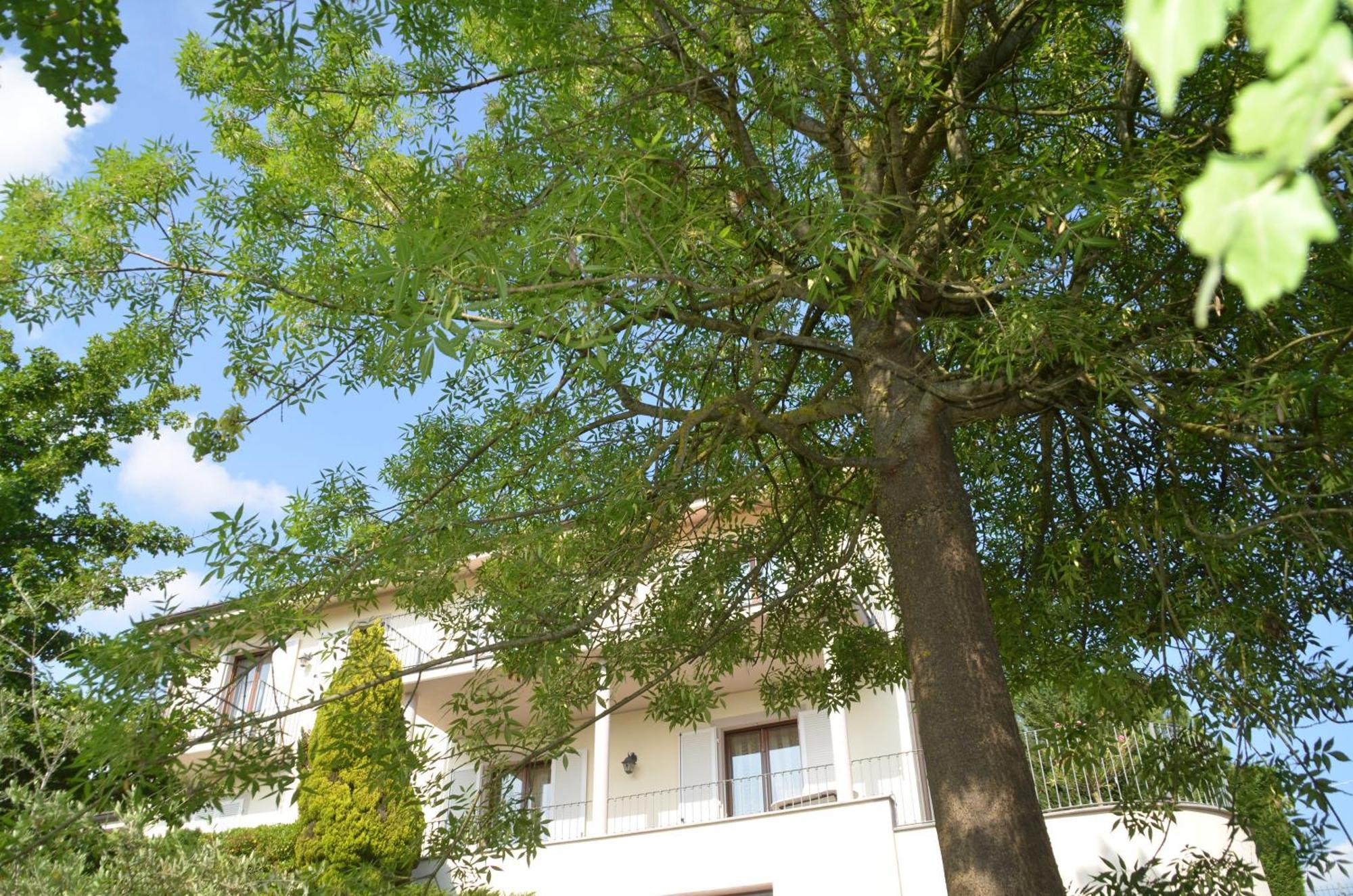 Villa Patrizia Moncalvo Exterior foto